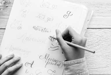 How to Grow Hibiscus for Cut Flowers: Harvesting & Care Tips