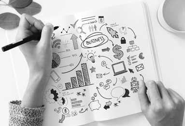 How to Grow Hibiscus for Cut Flowers: Harvesting & Care Tips