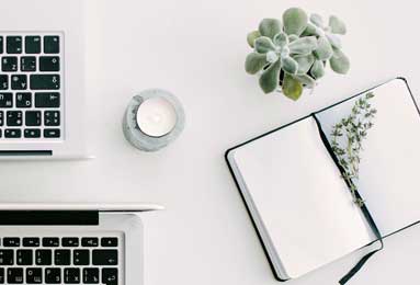 How to Grow Hibiscus for Cut Flowers: Harvesting & Care Tips