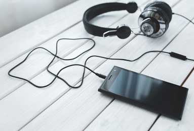 How to Grow Hibiscus for Cut Flowers: Harvesting & Care Tips