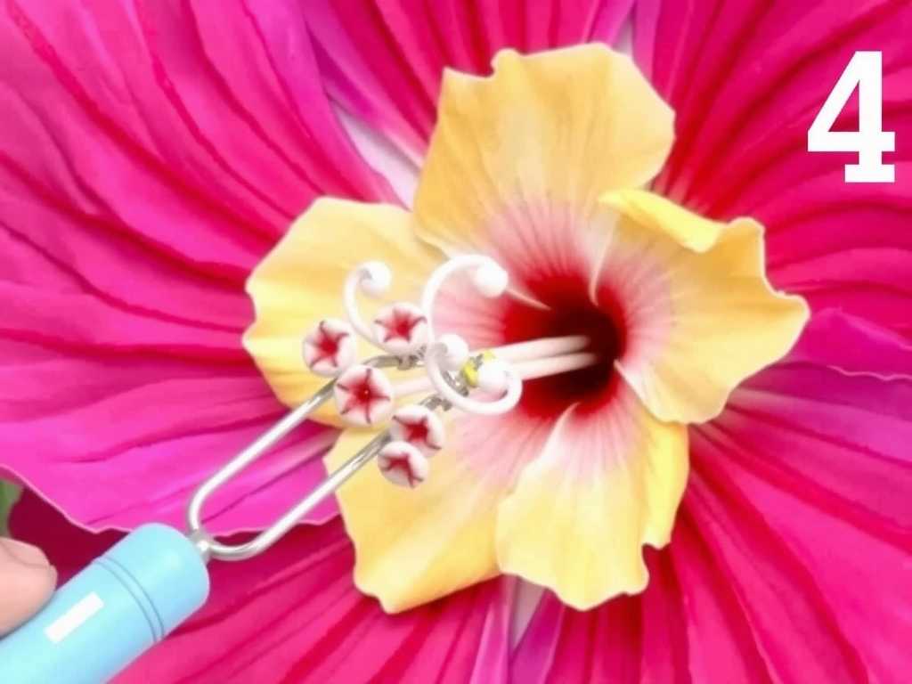 How to Treat Hibiscus Crown Gall: Disinfect Tools After Use